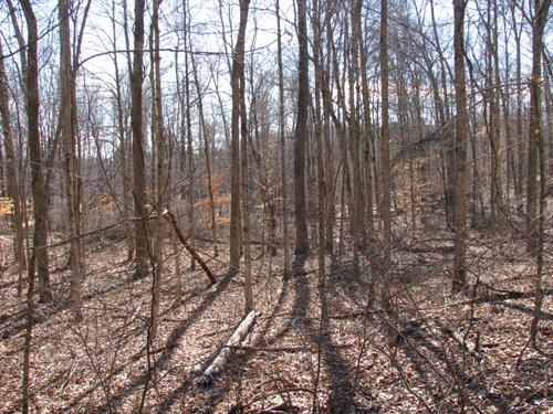 Property photo 17 - 97.5 Acres - Executive Home and Secluded Retreat